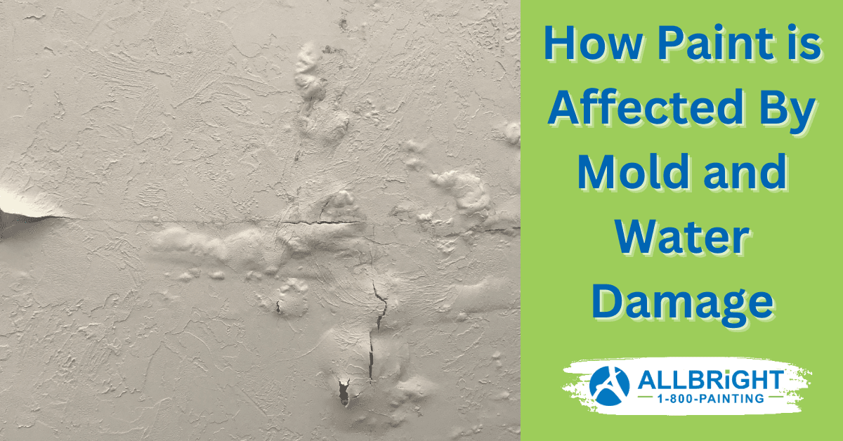 How Paint is Affected by Mold and Water Damage